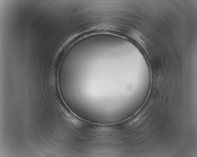 X0000073841115200608241009