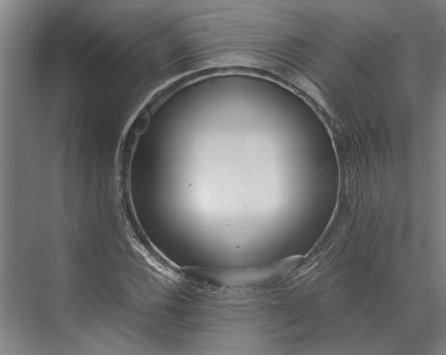 X0000073841116200608241009