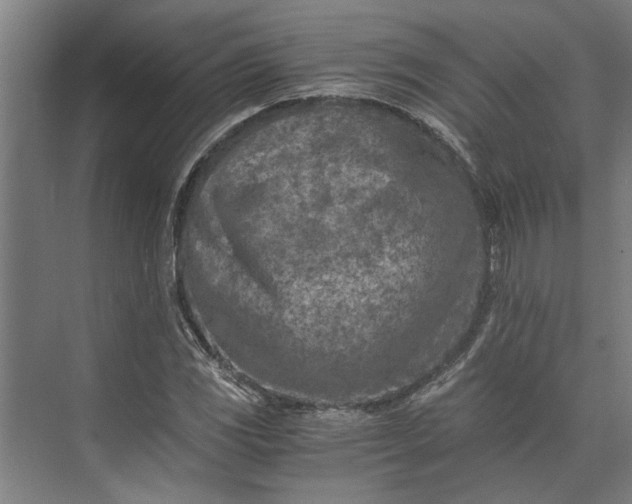 X0000073841117200608241009