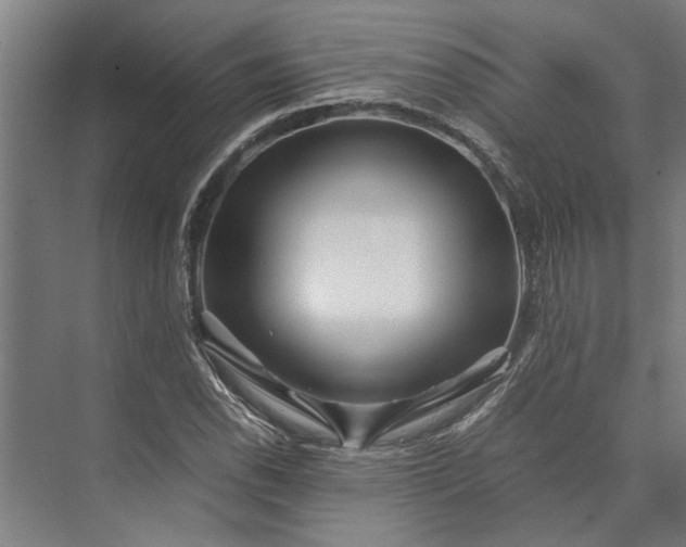 X0000073841118200608241009