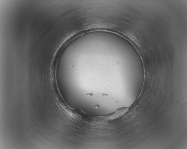 X0000073841119200608241009