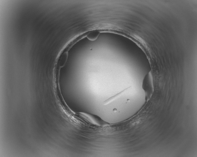 X0000073841120200608241009