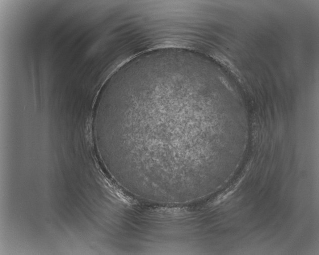 X0000073841121200608241010