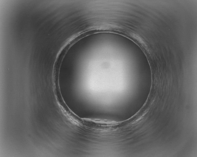 X0000073841122200608241010