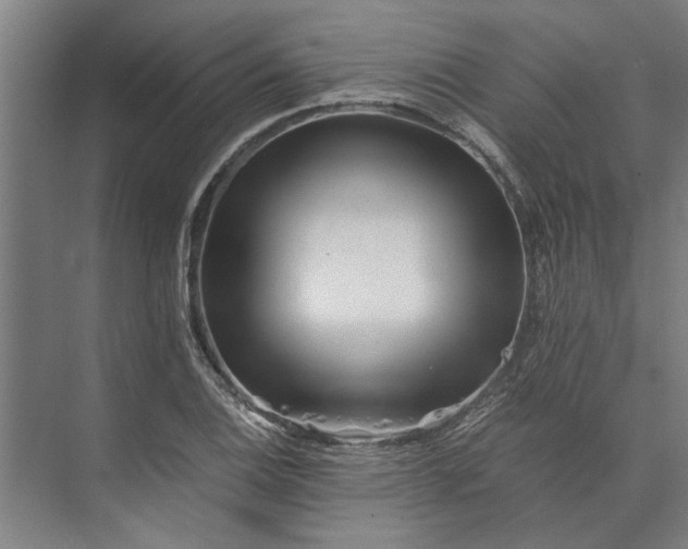 X0000073841124200608241010