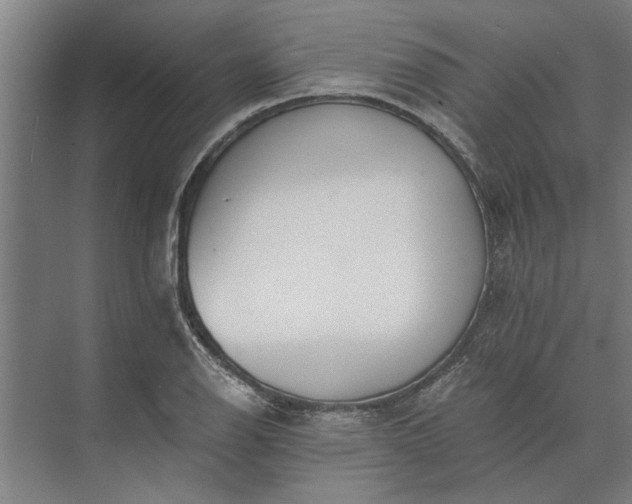 X0000073841126200608241010