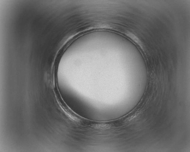 X0000073841127200608241010