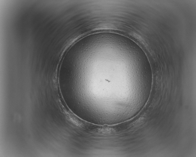 X0000073841129200608241010