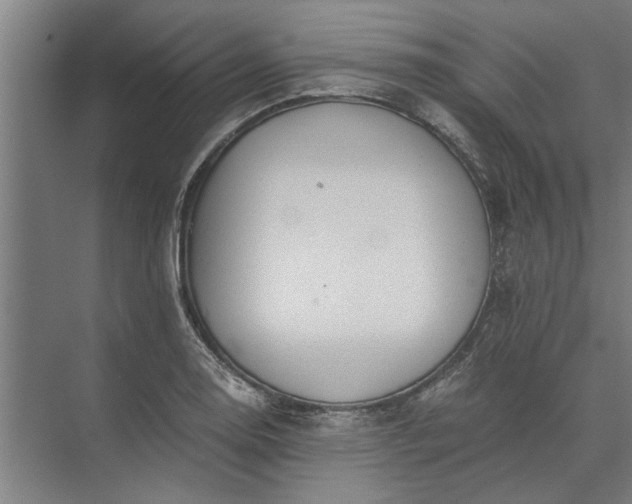 X0000073841130200608241010