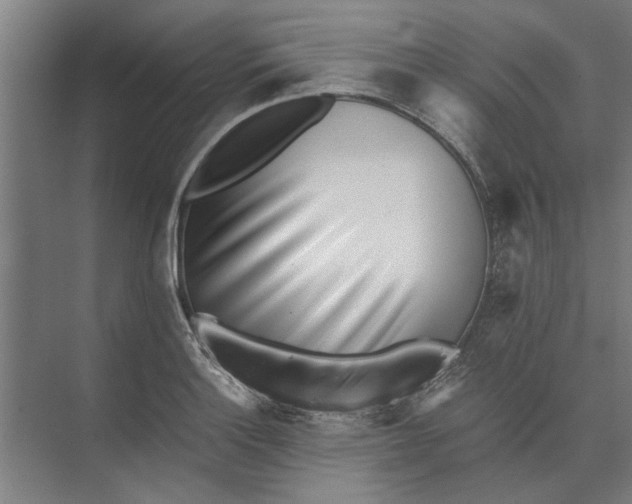 X0000073841132200608241010