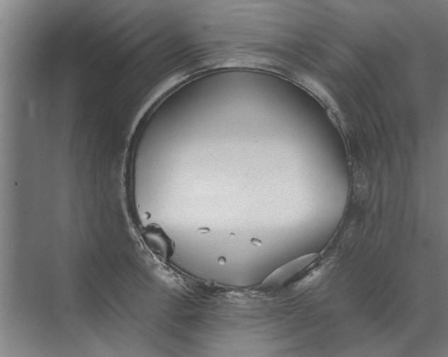 X0000073841138200608241010