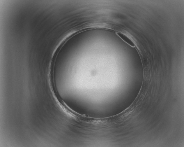 X0000073841139200608241010