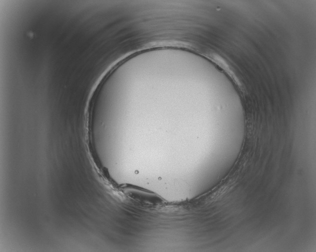 X0000073841140200608241010