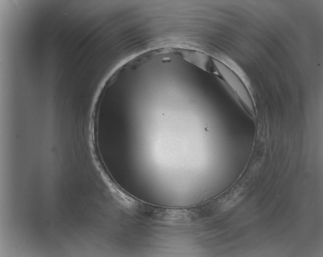 X0000073841144200608241010