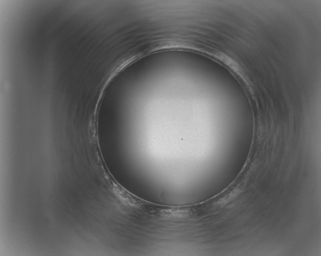 X0000073841145200608241010