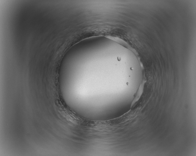 X0000073841153200608241009