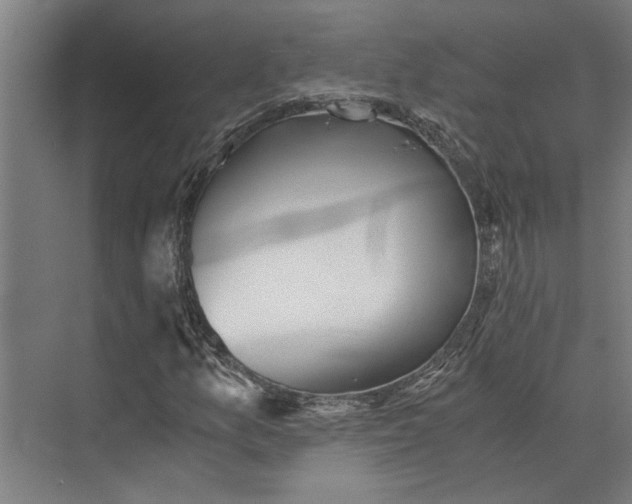 X0000073841157200608241009