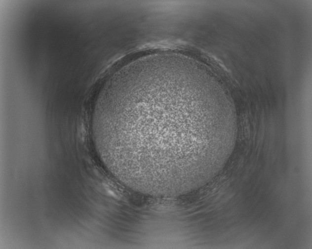 X0000073841158200608241009