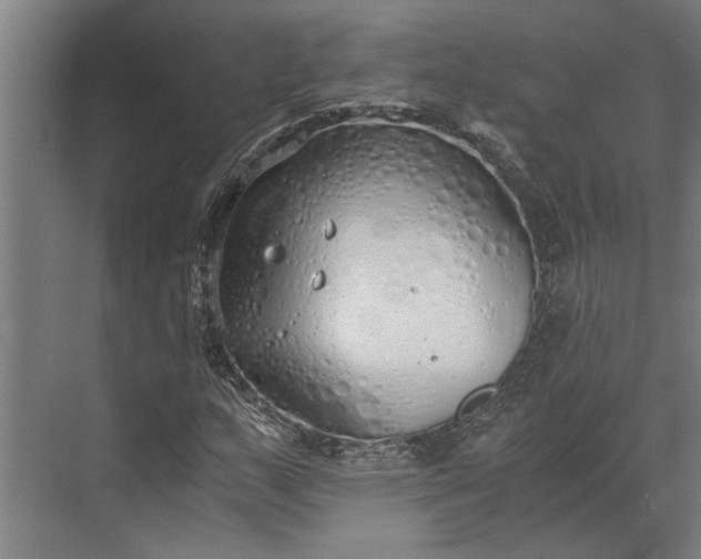 X0000073841159200608241009