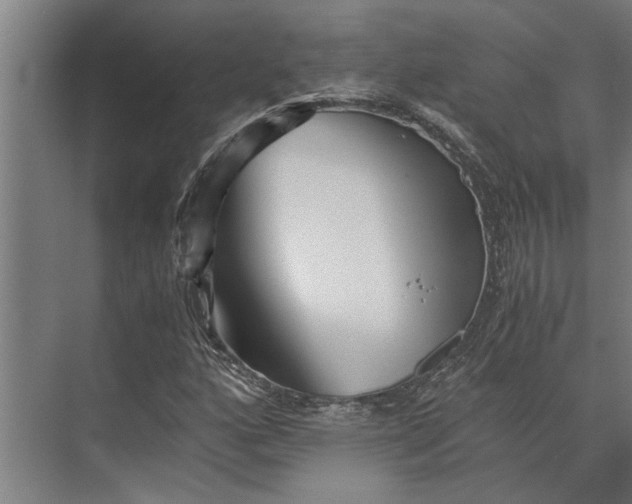 X0000073841160200608241009