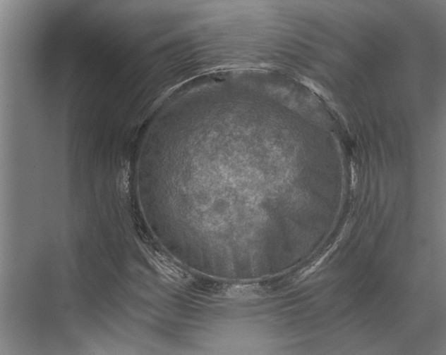 X0000073841161200608241009