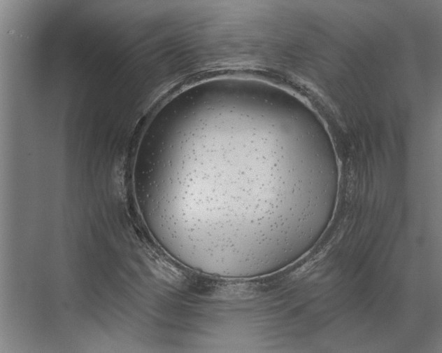 X0000073841162200608241009