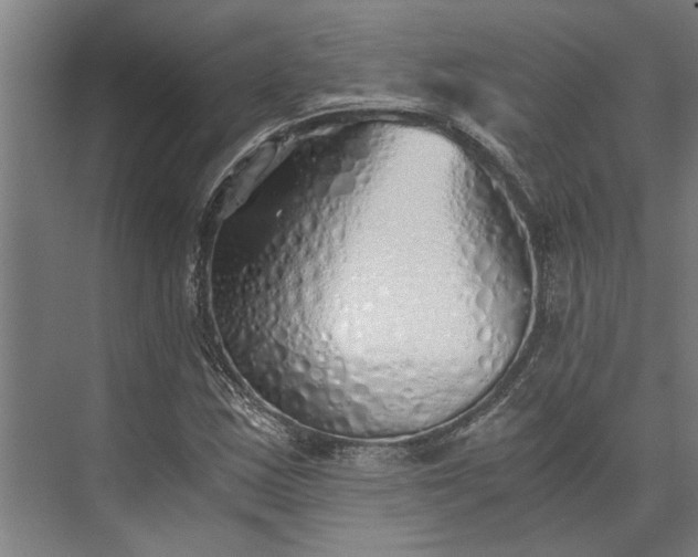 X0000073841163200608241009