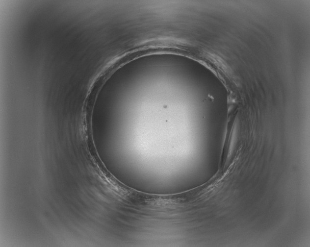 X0000073841164200608241009