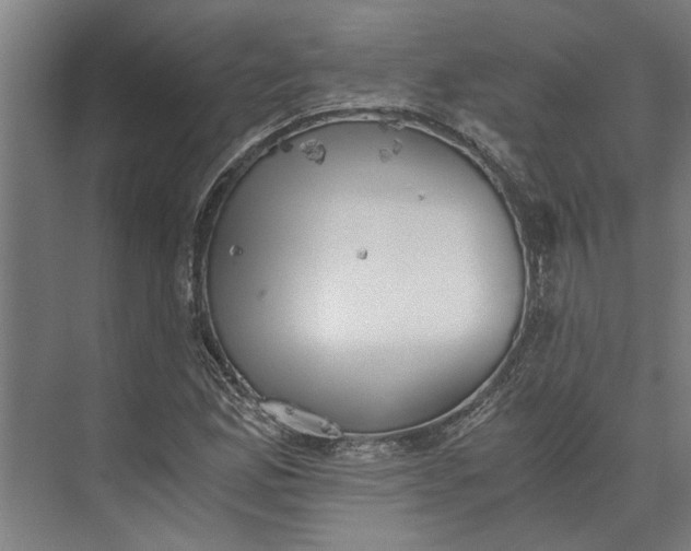 X0000073841165200608241009