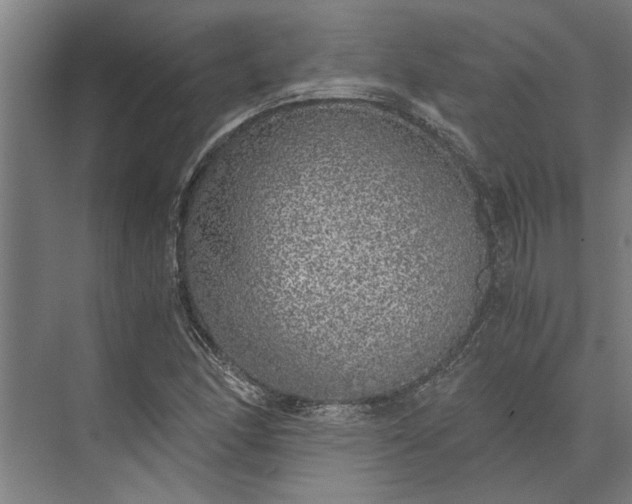 X0000073841166200608241009