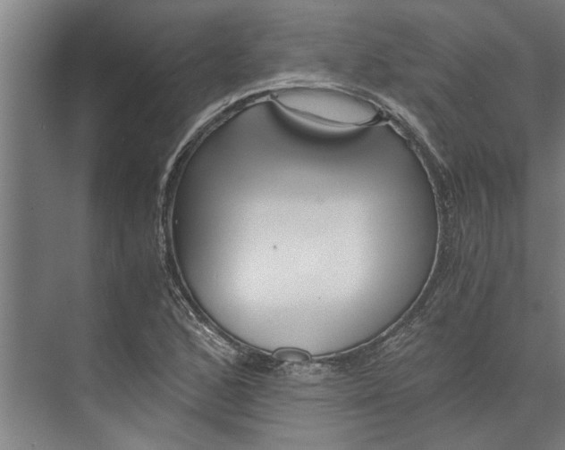 X0000073841168200608241009