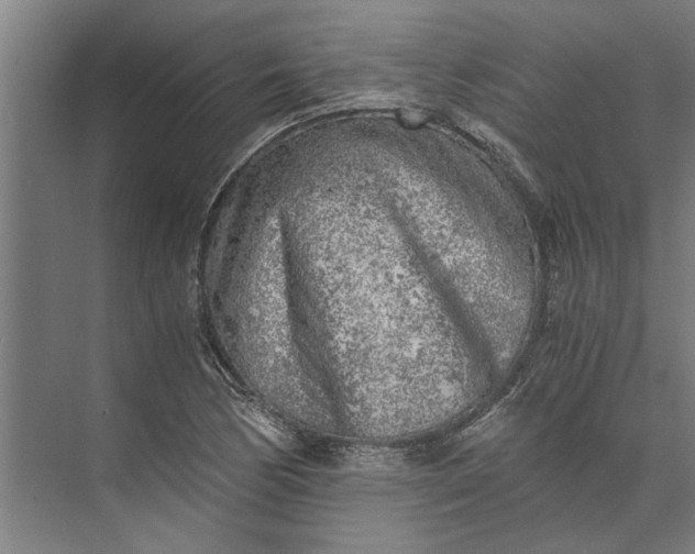 X0000073841170200608241009