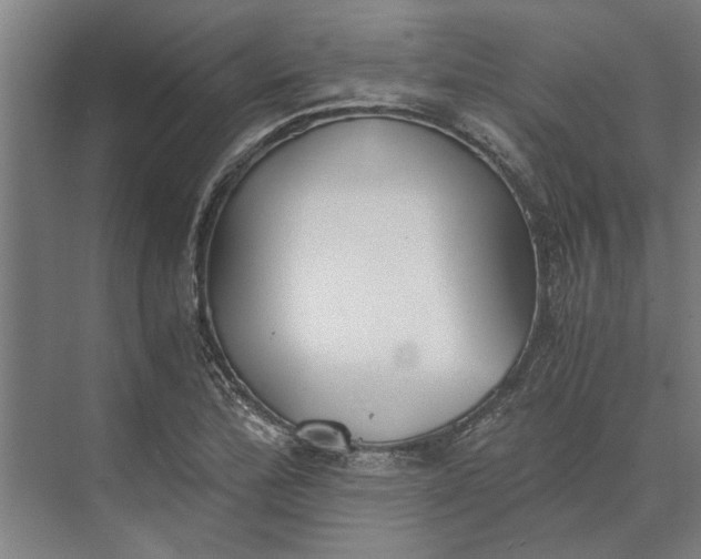 X0000073841172200608241009