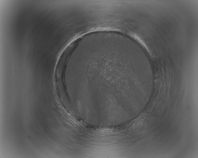 X0000073841173200608241009