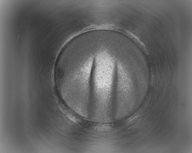 X0000073841174200608241009