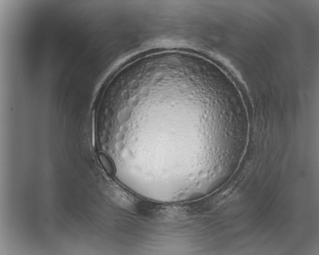 X0000073841175200608241009