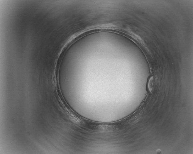 X0000073841176200608241009