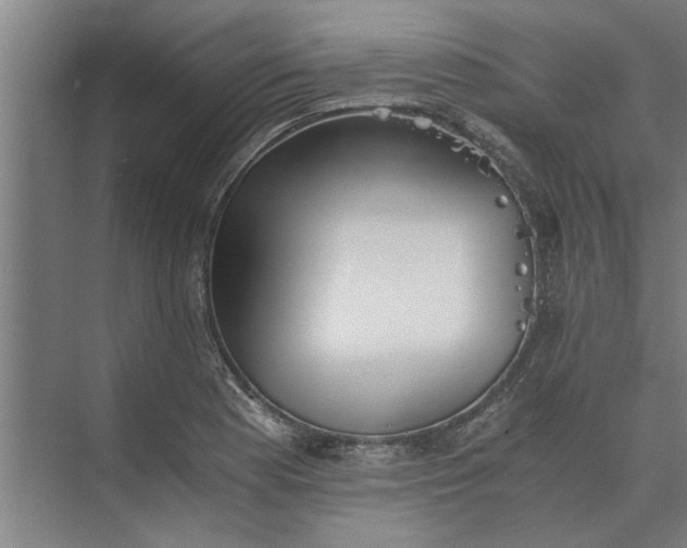 X0000073841177200608241009