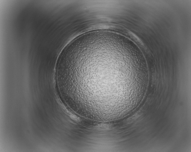 X0000073841178200608241009