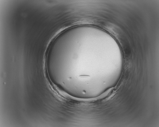 X0000073841179200608241009