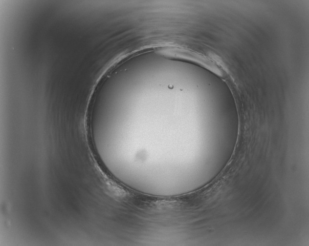 X0000073841181200608241009