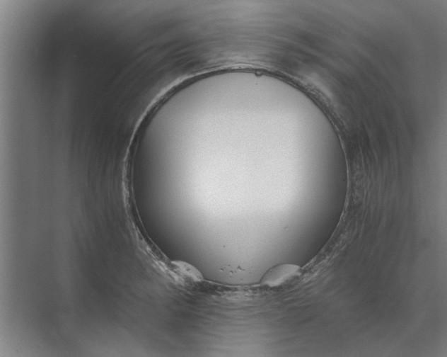 X0000073841182200608241009