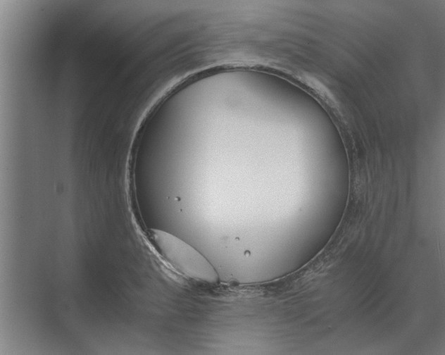 X0000073841183200608241009