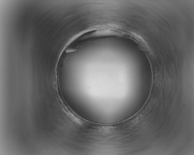 X0000073841184200608241009