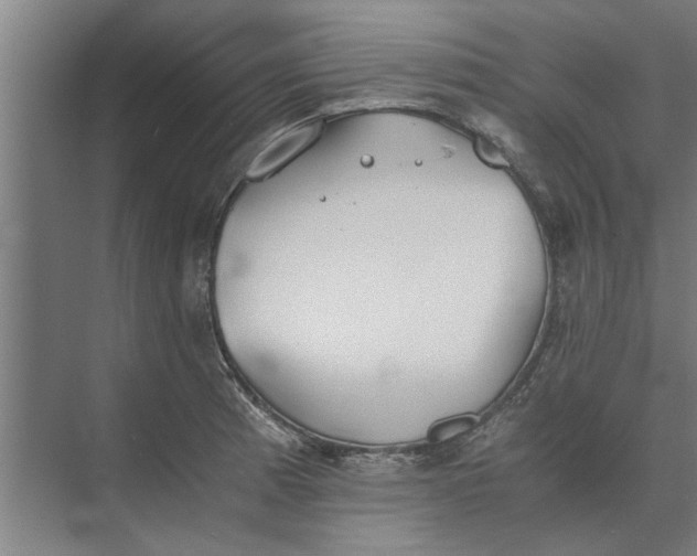 X0000073841185200608241009