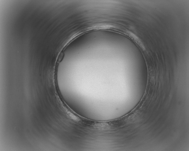 X0000073841186200608241009