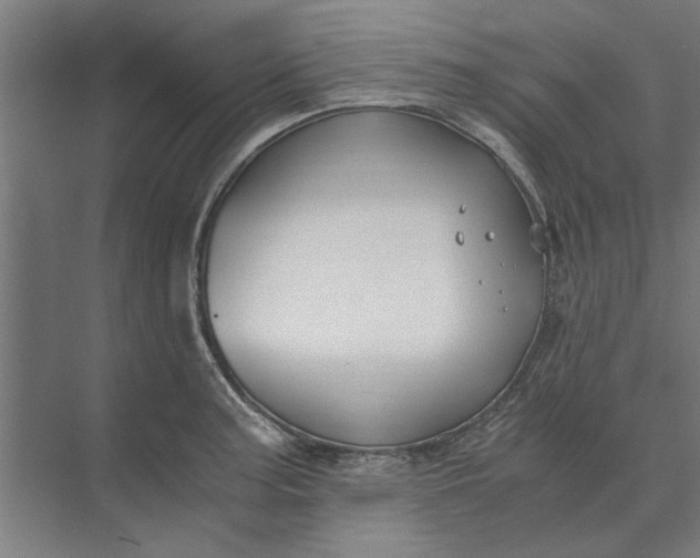 X0000073841187200608241009