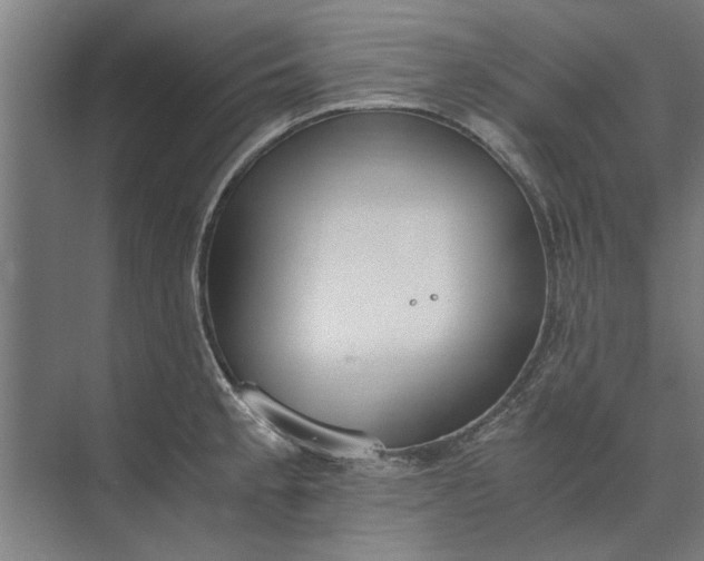 X0000073841189200608241009