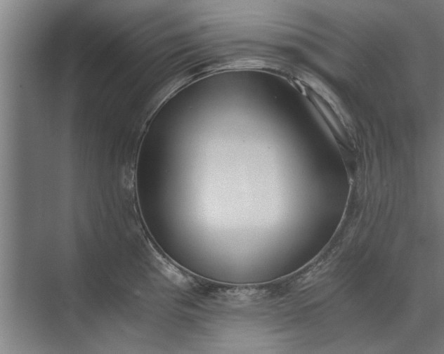 X0000073841193200608241009