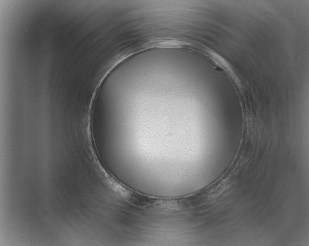 X0000073841194200608241009